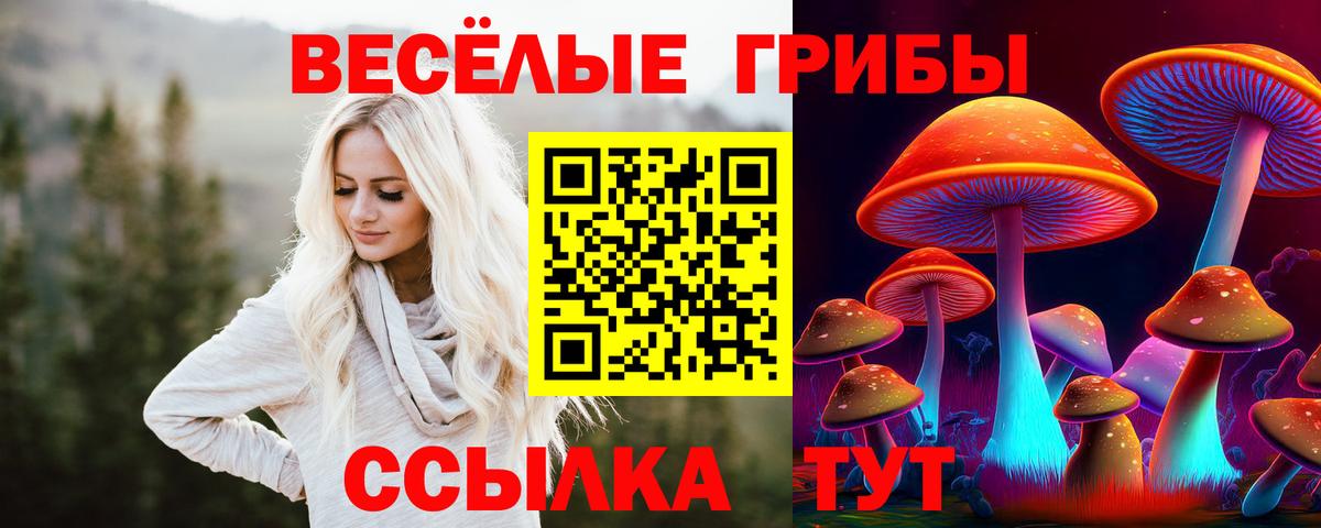 Псилоцибиновые грибы Cubensis  Псилоцибиновые грибы Psilocybe  Кировск  Вход с VPN 